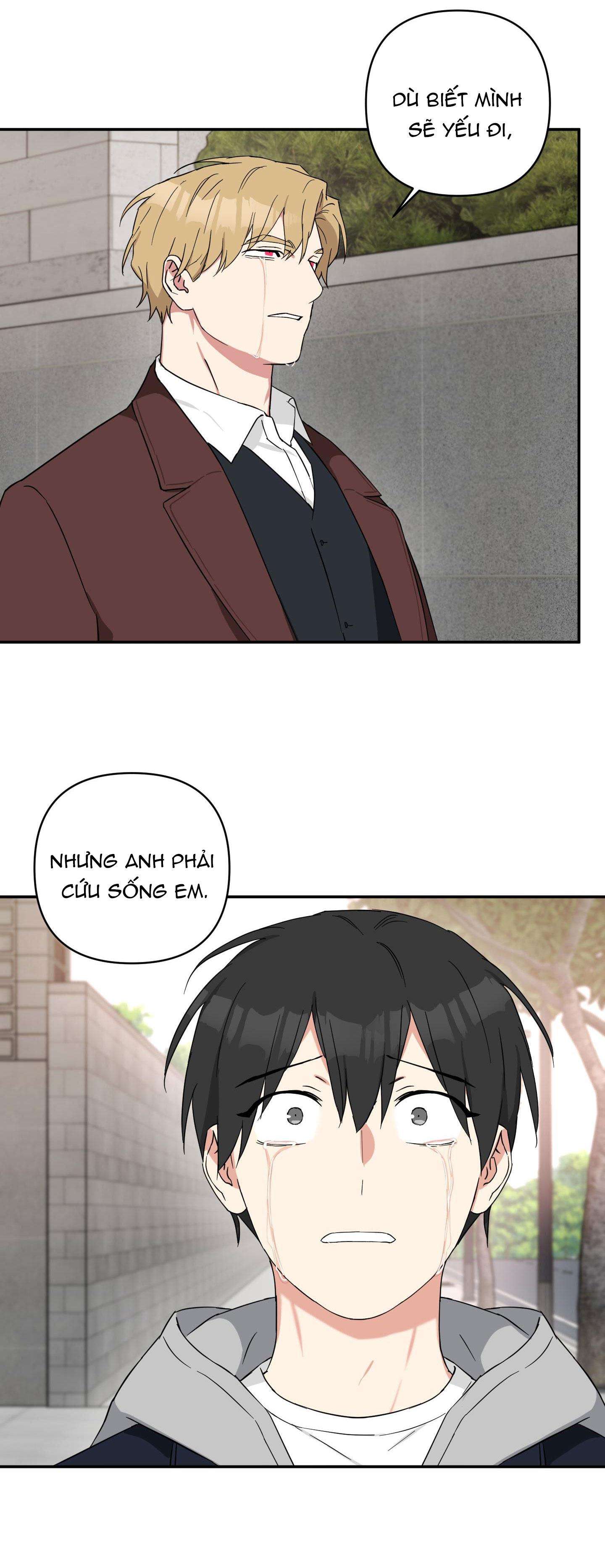 may rủi của vampire chapter 38 24