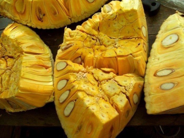 Cây MÍT THÁI SIÊU SỚM ghép, siêu quả thơm