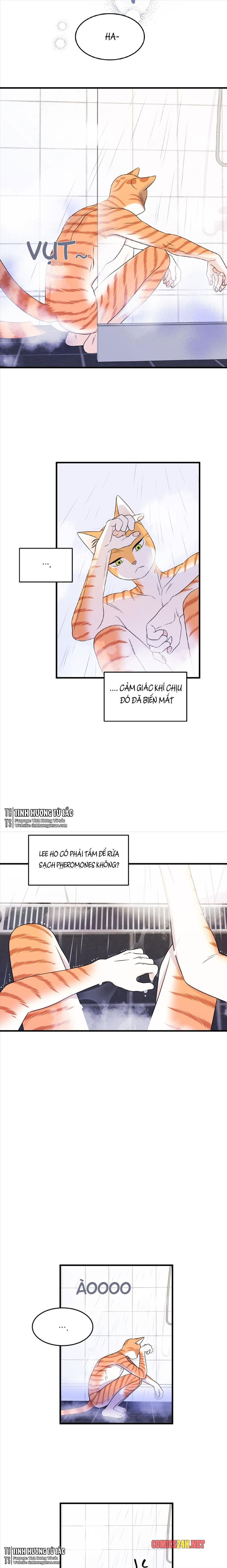 dự án xanh chapter 16 10