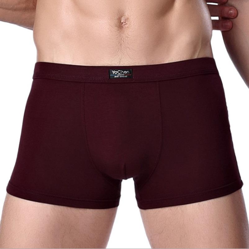 Bamboo Nam Panties Sexy Underwear Men Cuecas Boxer Boxer Thời Trang Mới Shorts Mens Underware 4 cái/lốc Miễn Phí Vận Chuyển