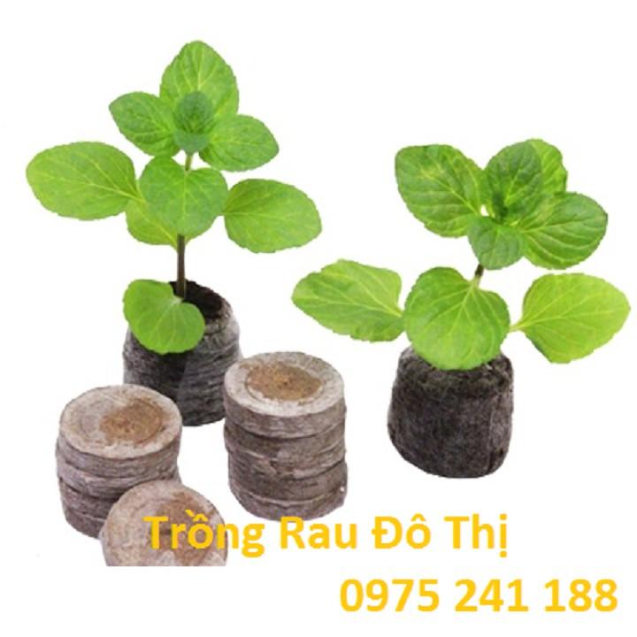 100 viên nén ươm hạt loại to, nở ra cao 6cm