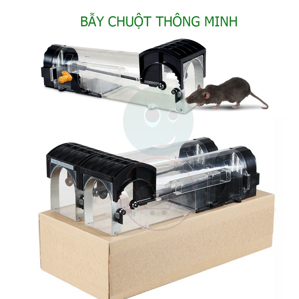 BẪY CHUỘT KHÔNG LỐI THOÁT CAO CẤP