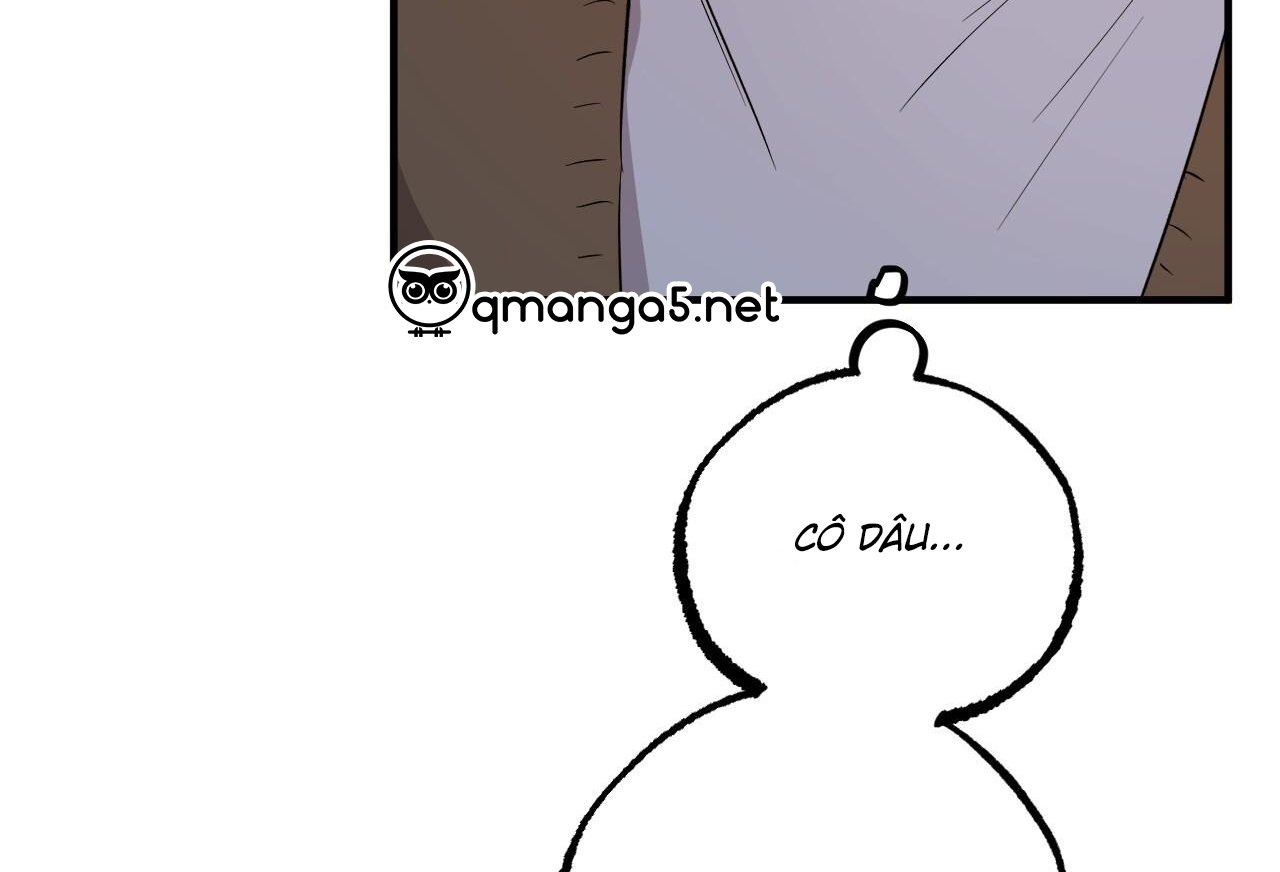 những chú thỏ của hapypy chapter 61 215