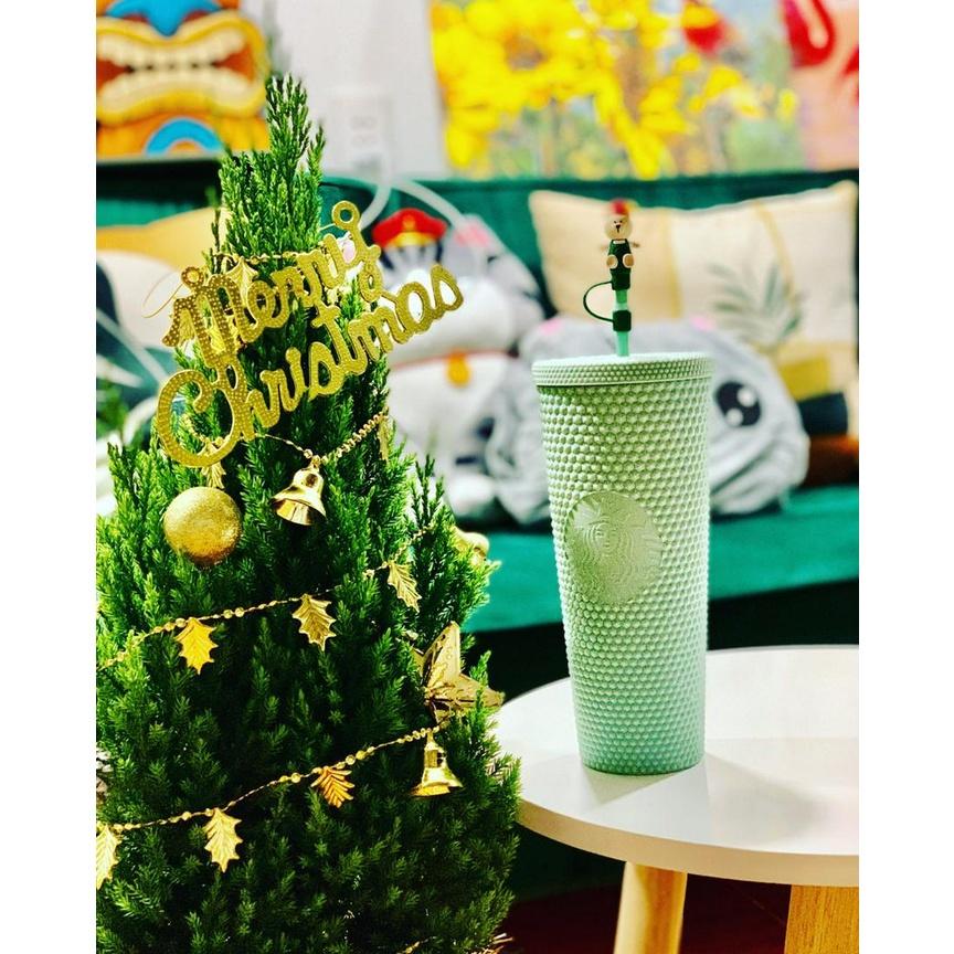 Cây Sơn Tùng Noel, Cây Thông Thật Giáng Sinh + TẶNG kèm giấy Kraft khổ lớn trang trí cây mùa giáng sinh