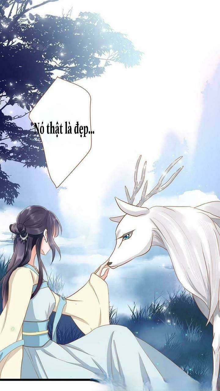 định mệnh giữa vị thần và tiểu cô nương chapter 2 12