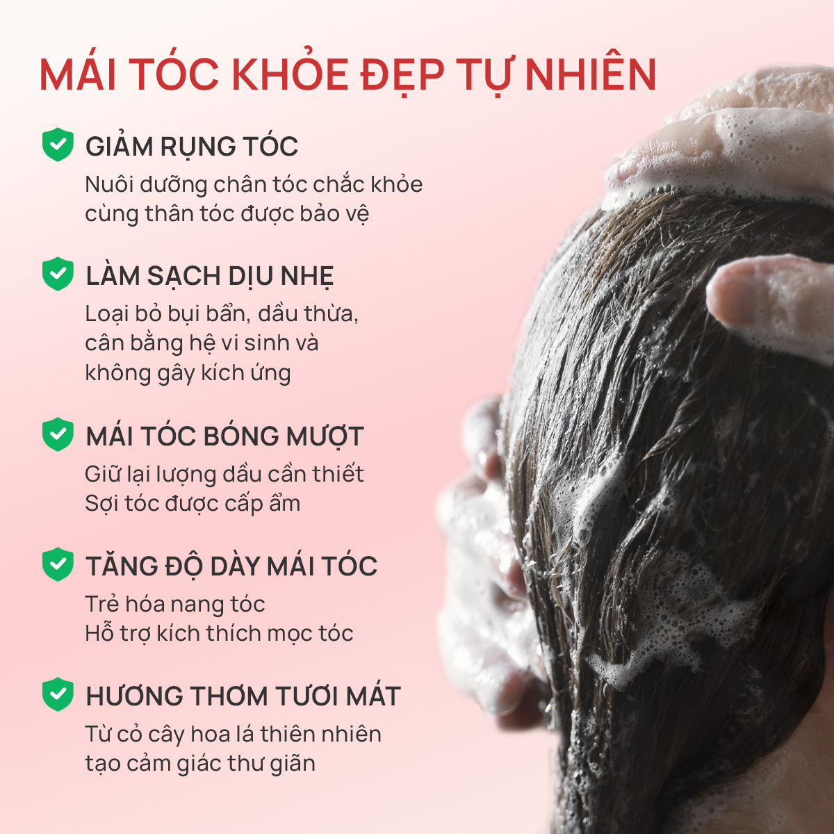 Combo 2 Dầu gội thảo dược Fresh Shampoo giảm rụng tóc, giảm gàu, nuôi dưỡng tóc mềm mượt và chắc khỏe từ gốc
