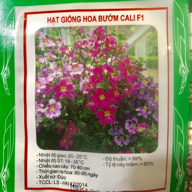 HẠT GIỐNG HOA BƯỚM CALI F1