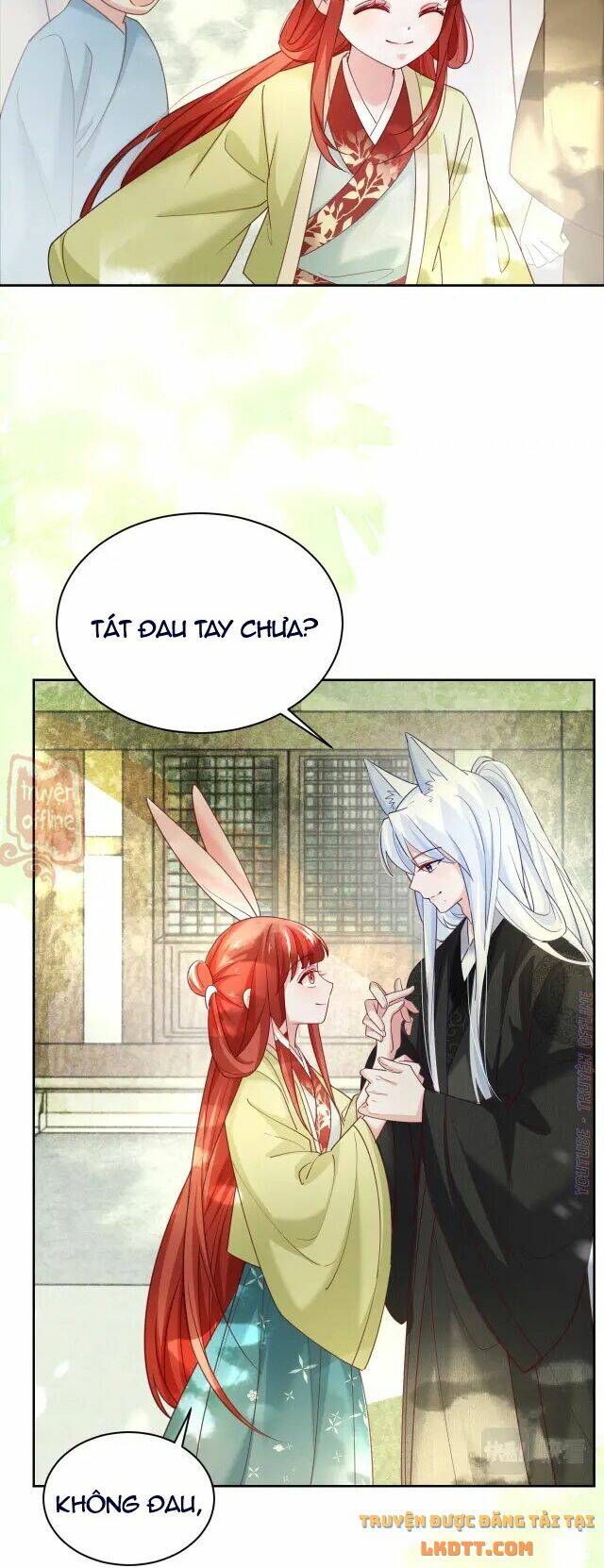 hắc hóa nam chính trực tuyến nuôi thỏ chapter 49 30