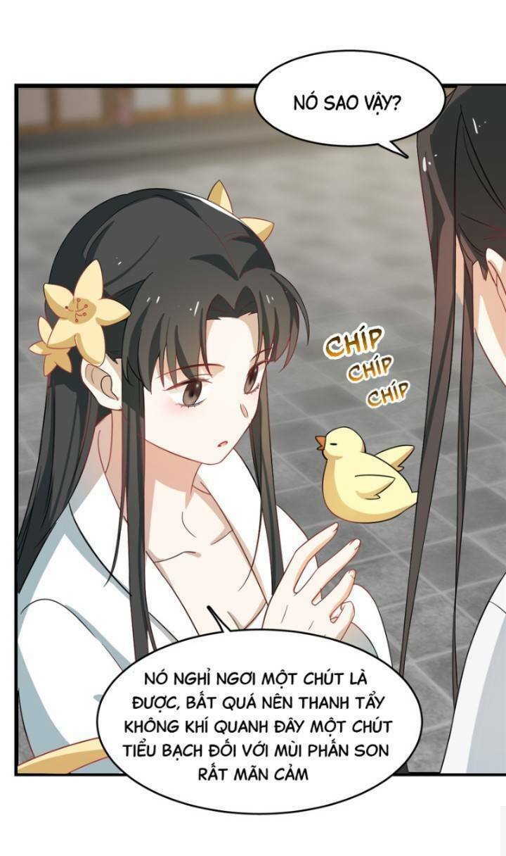 độc bộ thiên hạ: đặc công thần y chapter 163 22