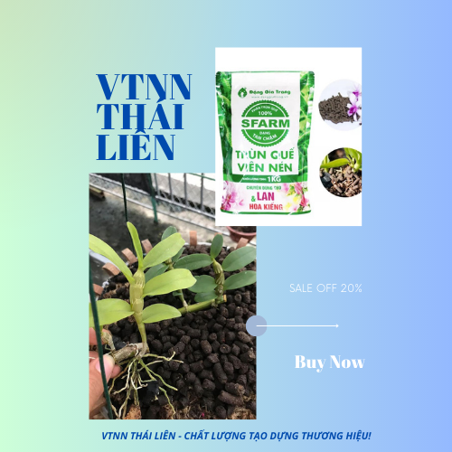 Phân trùn quế Sfarm dạng viên nén cao cấp bao 1kg dùng cho phong lan, hoa cảnh các loại cây