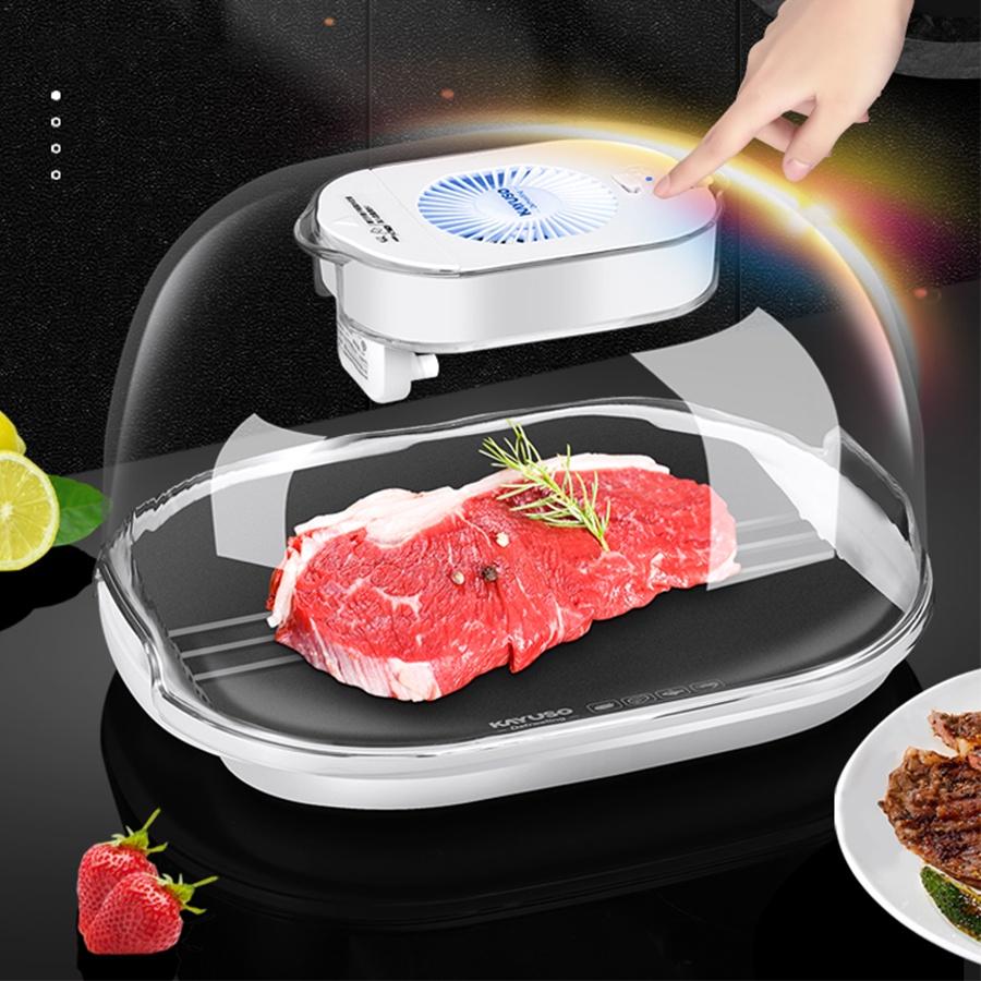 Máy rã đông nhanh chóng thực phẩm Defrost Kitchen - công nghệ mới tiết kiệm thời gian