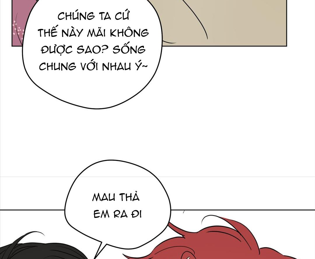 chuyện quái gì với giấc mơ đó vậy chapter 48 37