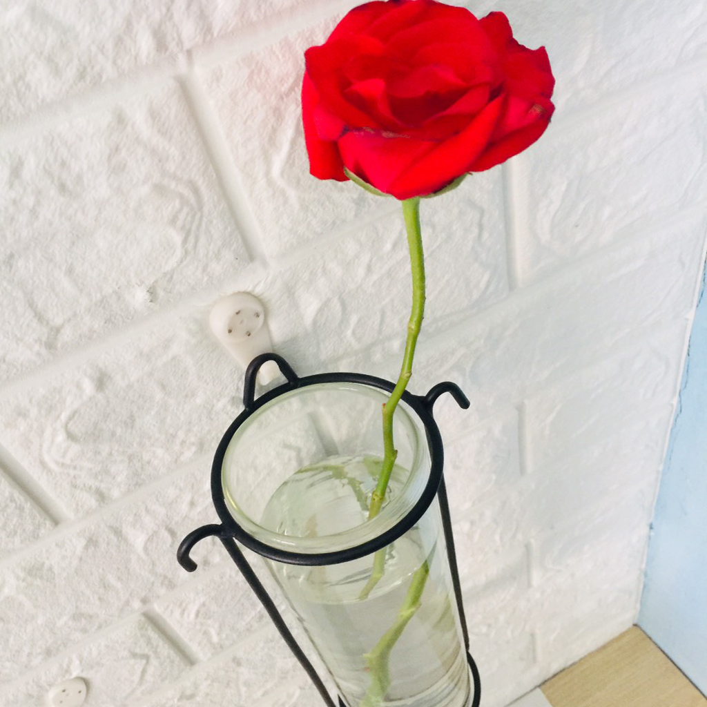 Chậu thủy tinh trụ tròn treo tường 8 x 27cm