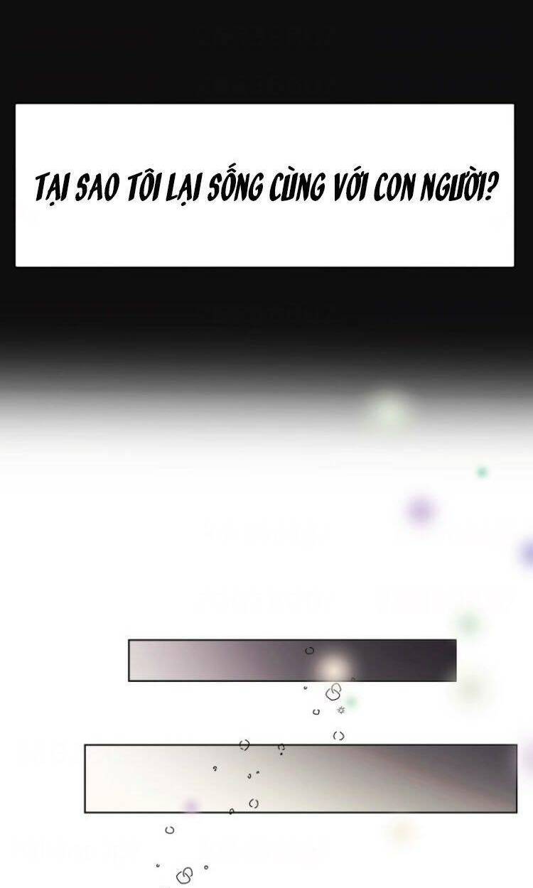 baby dragon chapter 11 16