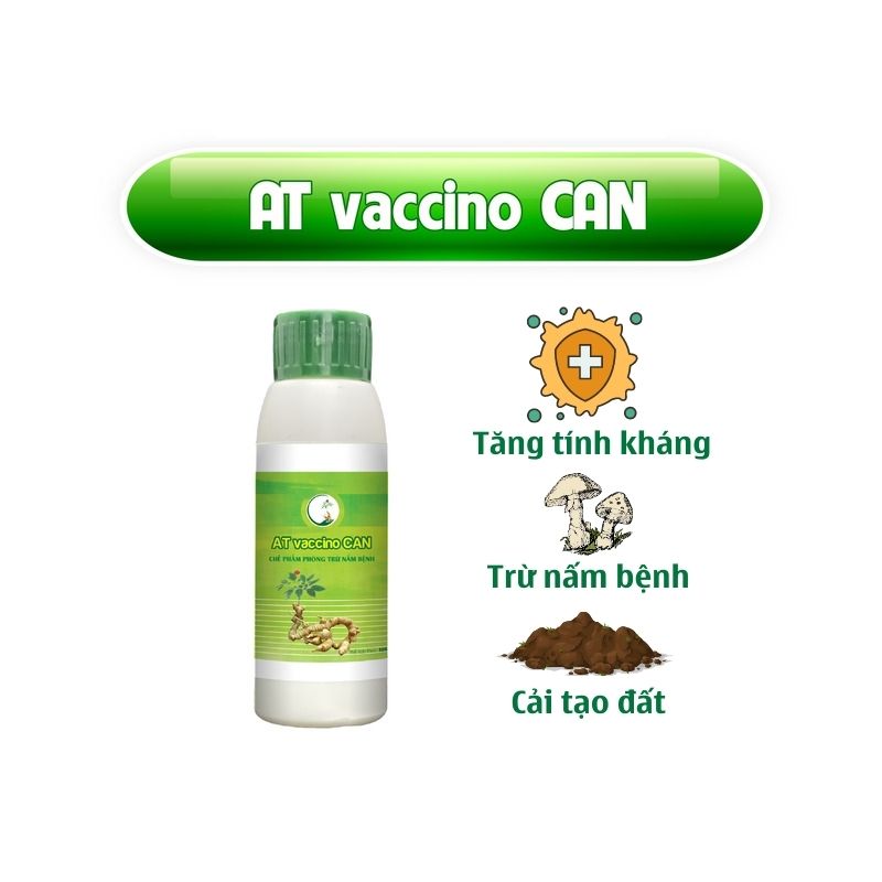 Chế Phẩm Trừ Bệnh Sinh Học Chuyên Dùng Cho Sâm Ngọc Linh Phòng Trừ Nấm Bệnh – Ecom Vaccino CAN 100ml