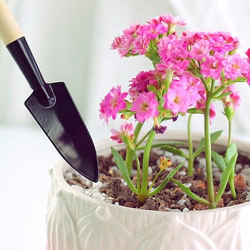 Bộ Cuốc Xẻng Làm Vườn Mini Chậu Cảnh SUKAHOUSE H081