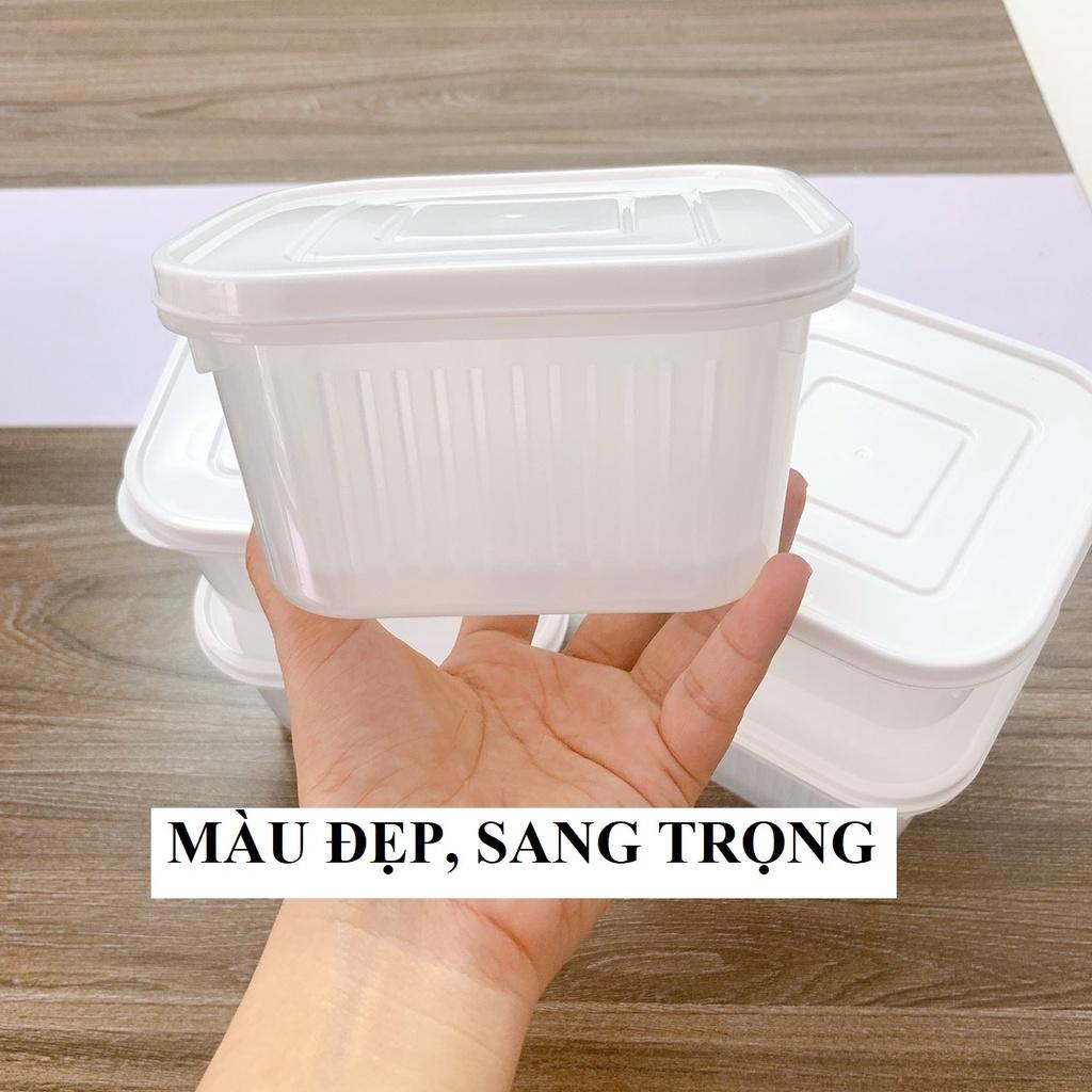 Hộp trữ đông, hộp nhựa đựng thức ăn tủ lạnh tách nước giúp thực phẩm tươi lâu