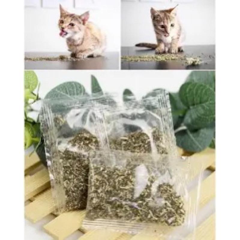 Cỏ Catnip Cỏ Bạc Hà Dạng Ống Cho Mèo