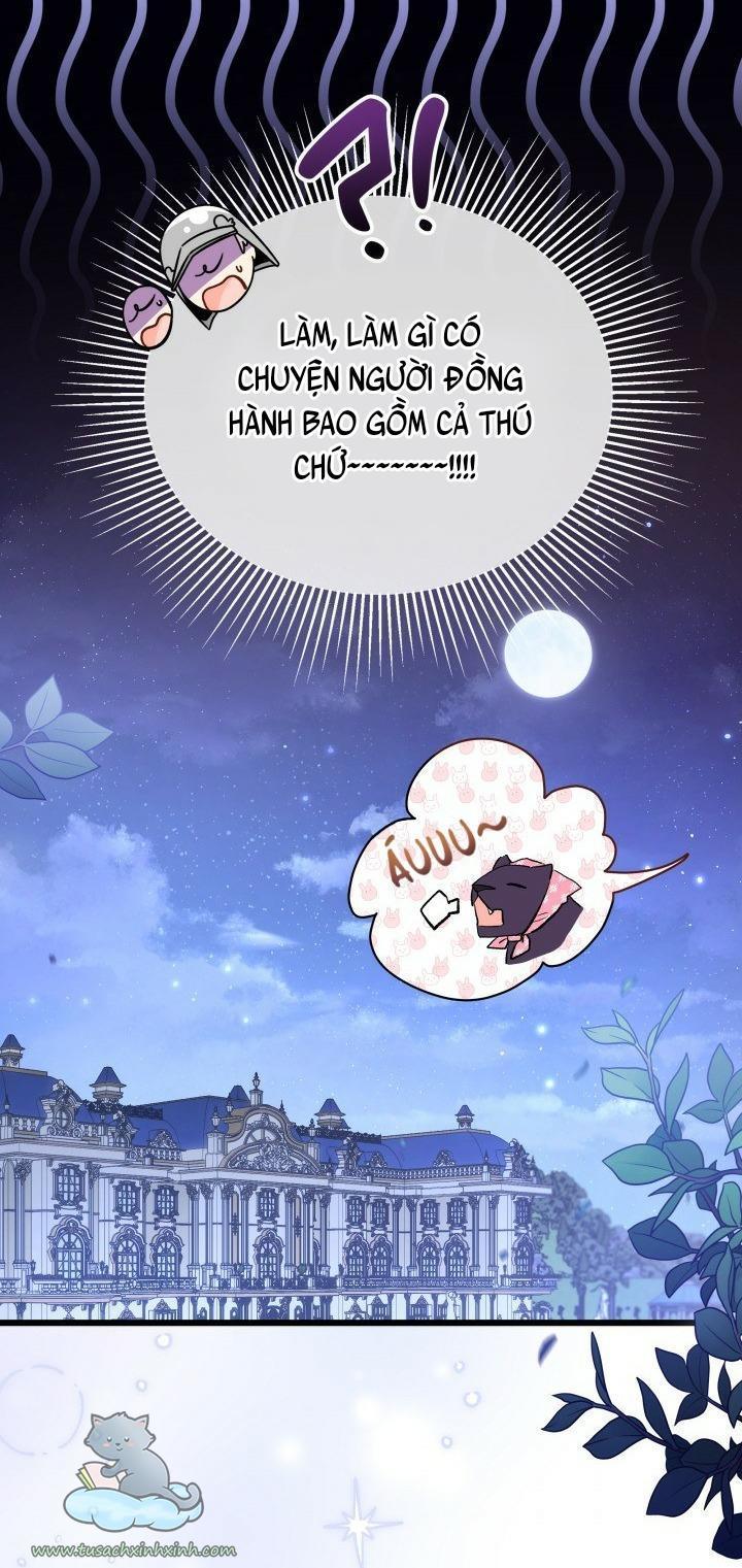 quan hệ cộng sinh giữa báo đen và thỏ trắng chapter 62 73