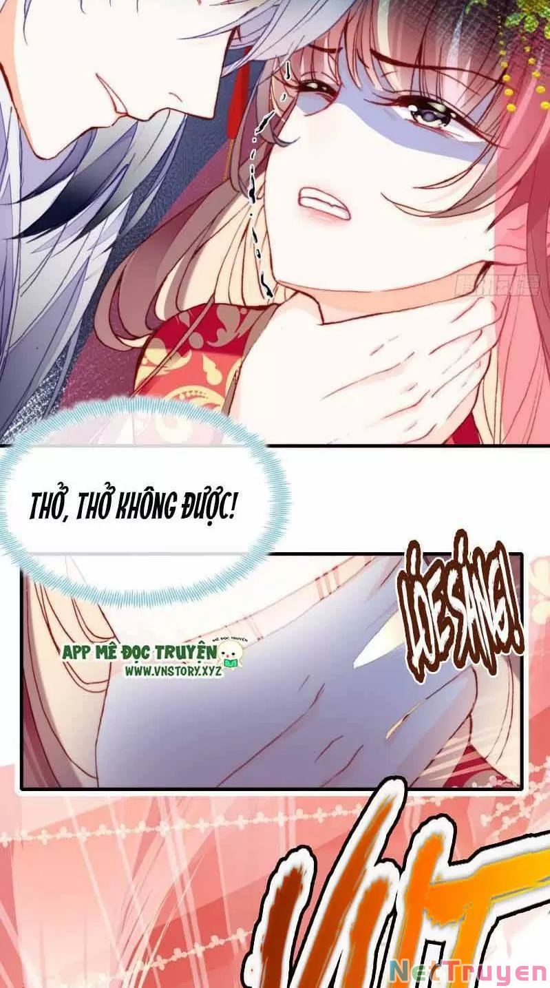 lại bị bệnh chiều chuộng quấn lấy chapter 2 29