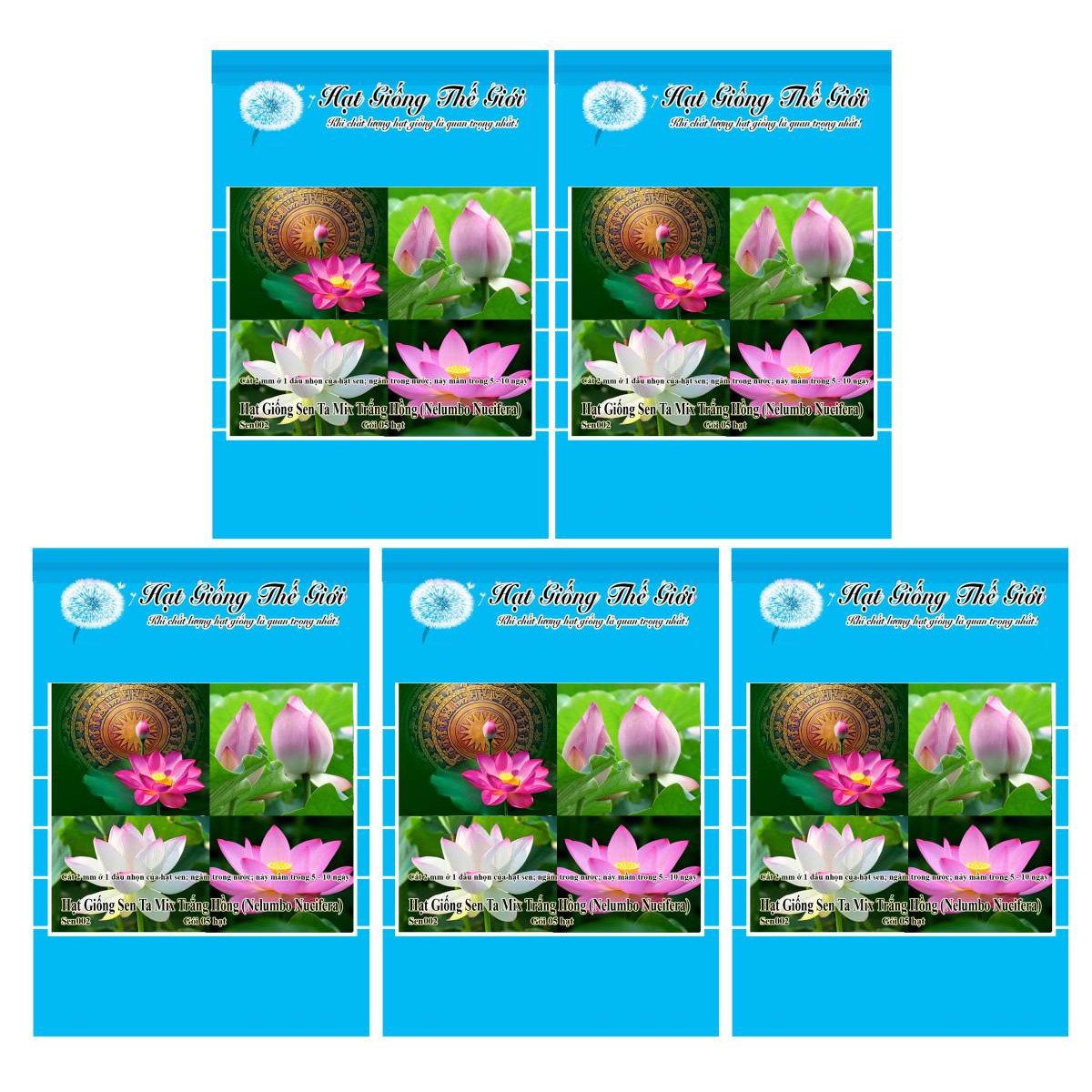 Bộ 5 Gói Hạt Giống Sen Ta - Mix (Nelumbo Nucifera) 5h