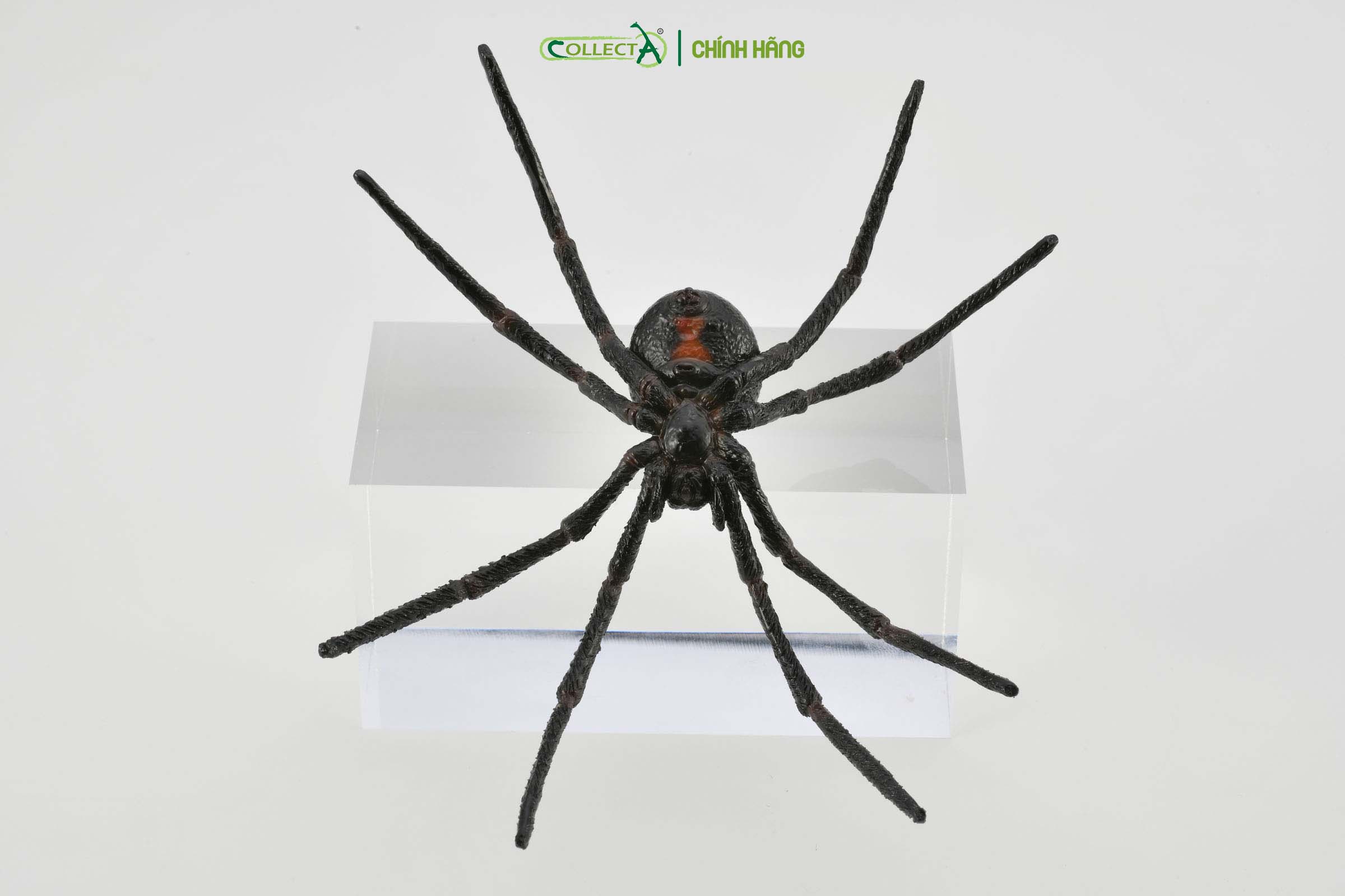 Mô hình thu nhỏ: Nhện Goá Phụ Đen - Black Widow Spider, hiệu: CollectA, mã HS 9653010[88884] -  Chất liệu an toàn cho trẻ - Hàng chính hãng
