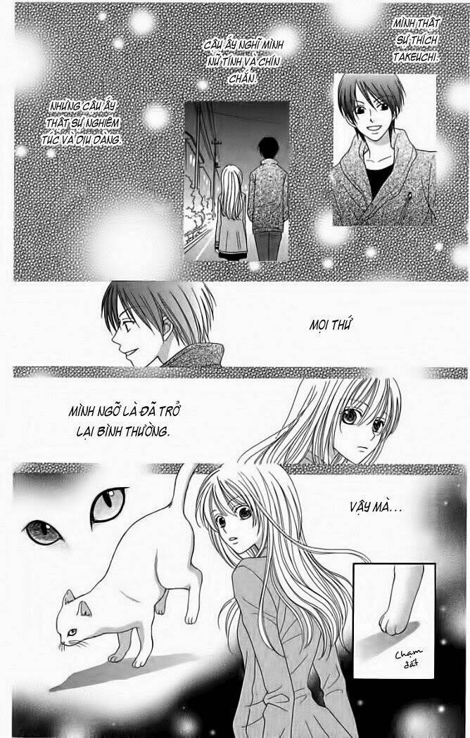 my dear cat chapter 1 34