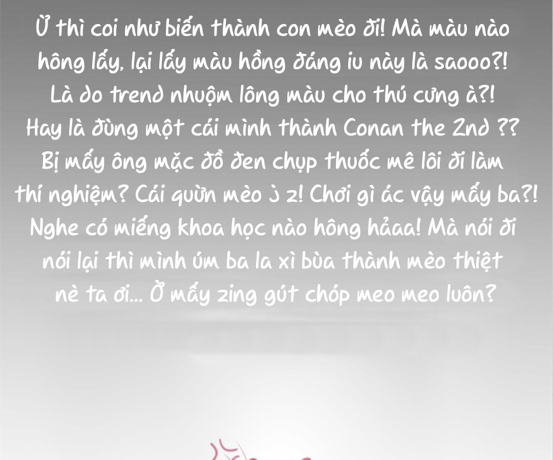 social cat chapter 1 32