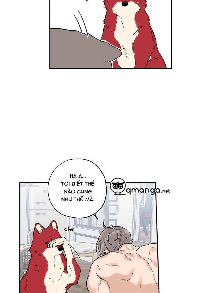 gâu gâu! chapter 21 4