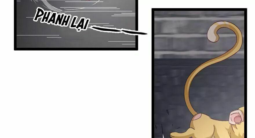 quẻ phi thiên hạ chapter 26 34