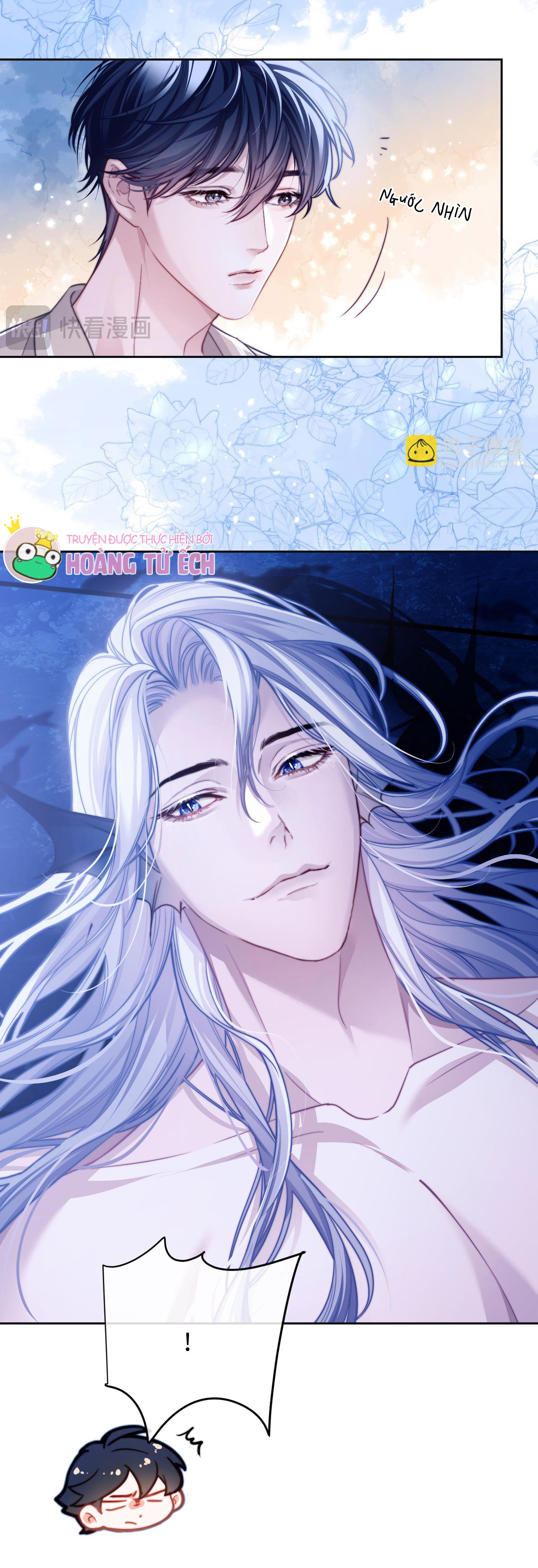 nhân ngư dessaro chapter 16 22