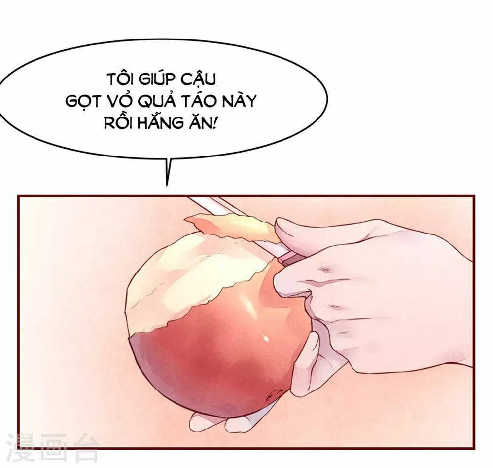 đào tạo nuôi dưỡng bạn trai mèo chapter 33 32