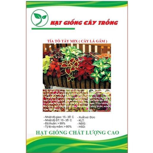 Hạt Giống Cây Tía Tô Cảnh CT469 - Gói 50 Hạt