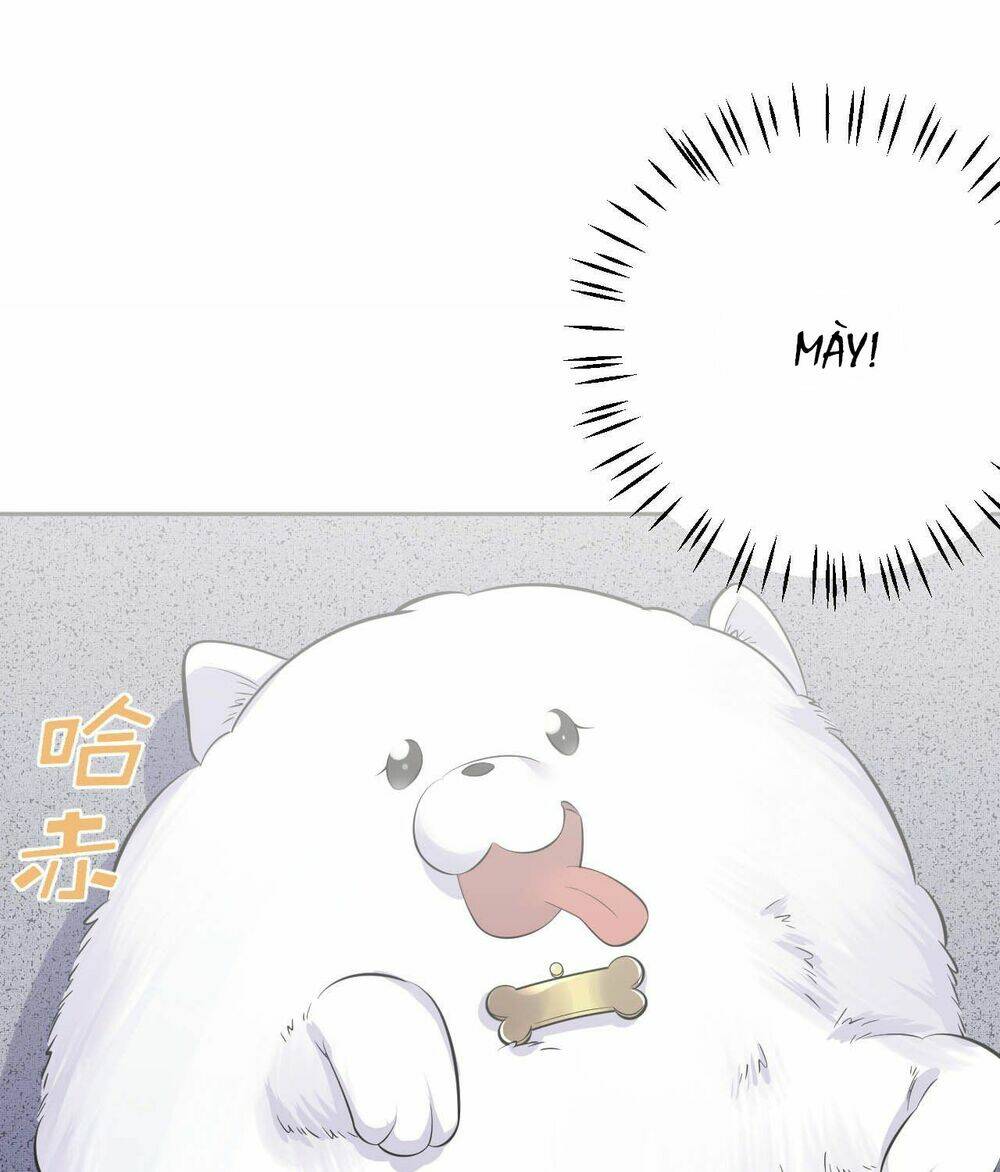 nhạc phụ đại nhân là lão bà chapter 27 31