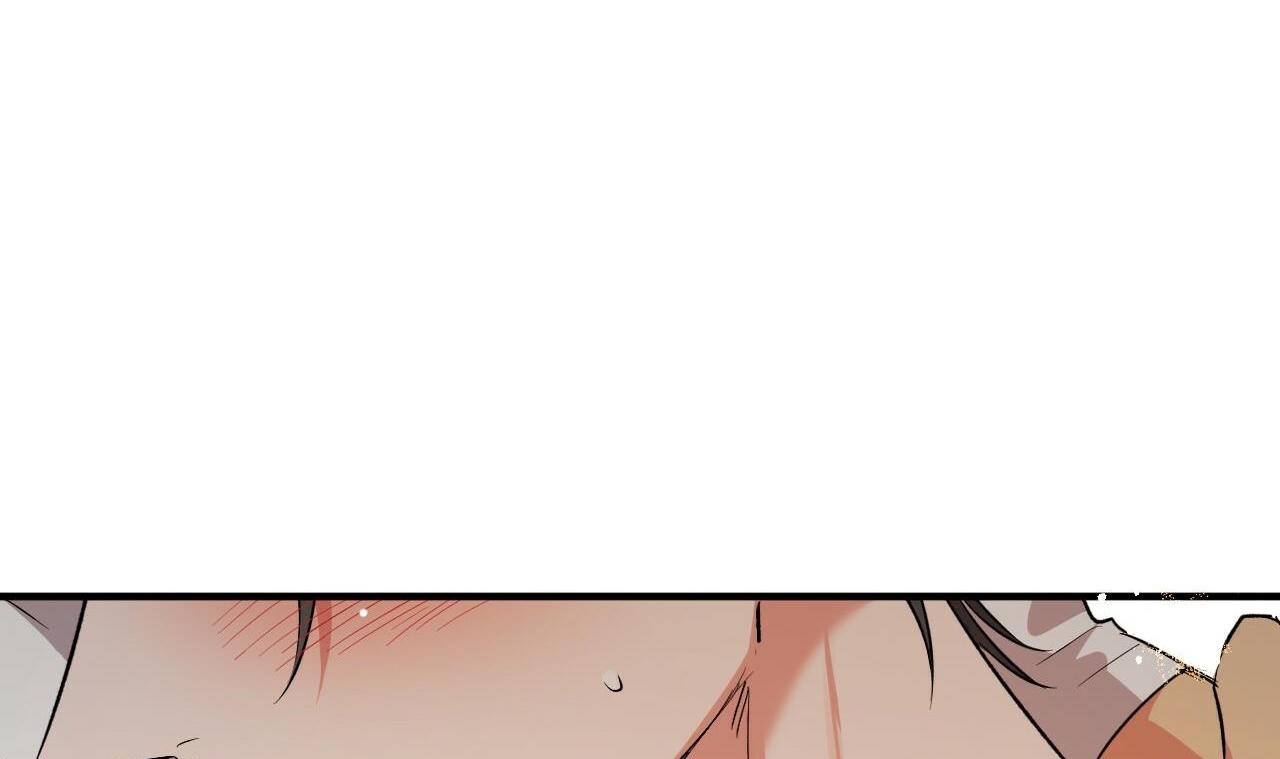 những chú thỏ của hapypy chapter 53 111