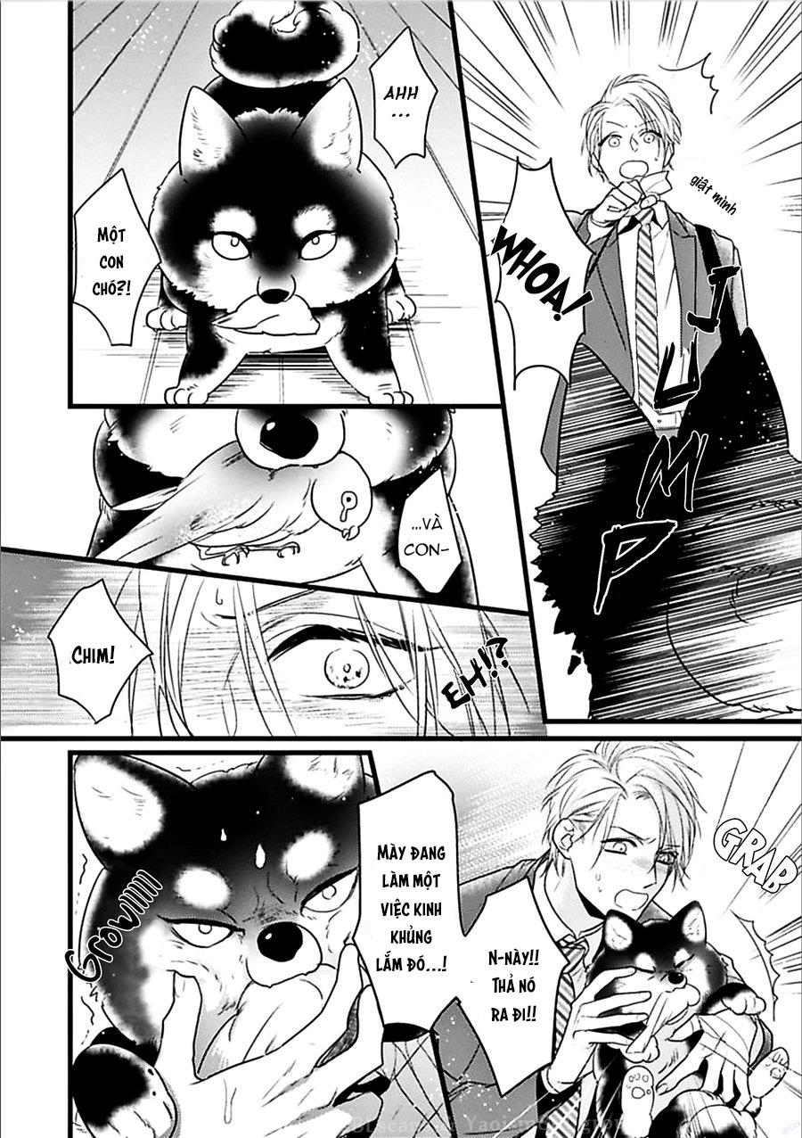 trăng sáng xuất hiện nơi khu rừng huyền bí chapter 1 7