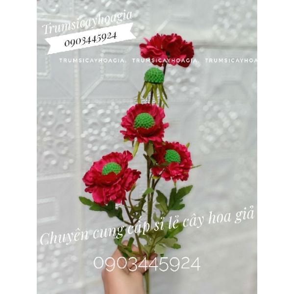 Cành cúc quả thông cao 60cm trang trí độc lạ nhập khẩu-Hoa cao cấp