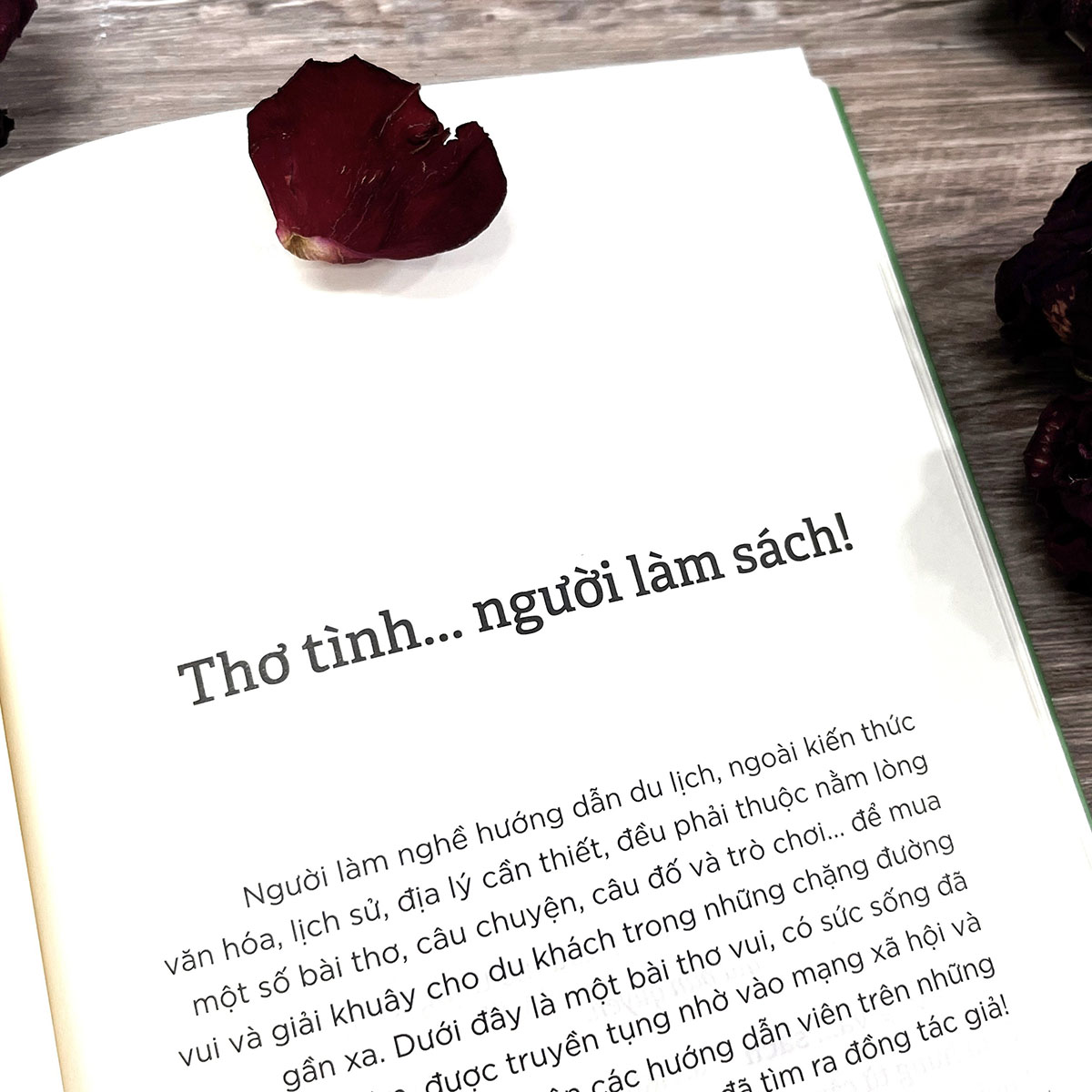 Tiếng Việt giàu đẹp - Tình ca Tiếng nước ta