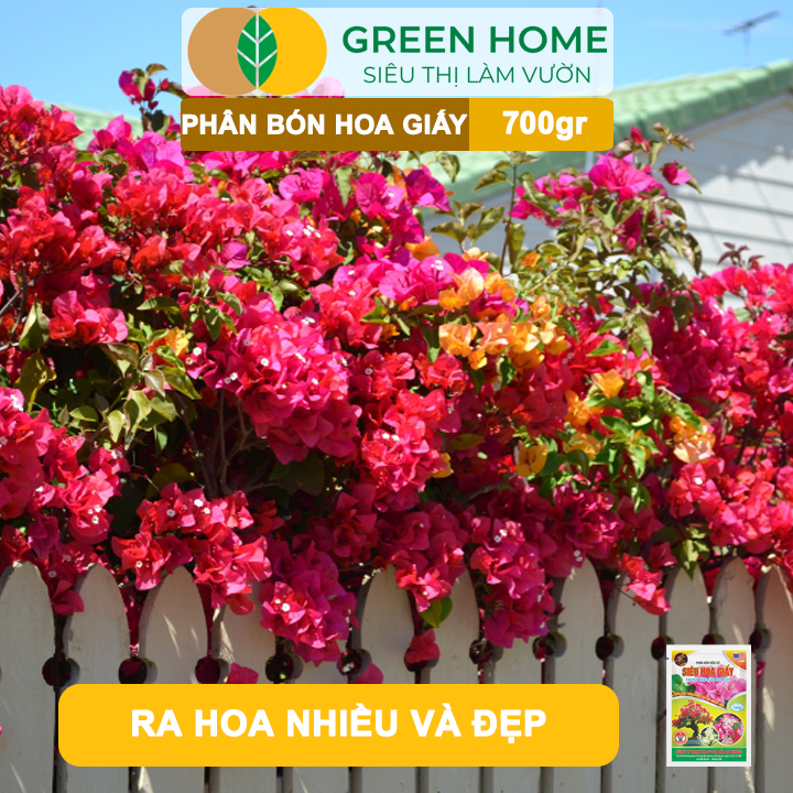 Phân Bón Hoa Giấy Greenhome, Bao 700gr, Hữu Cơ, Giúp Thân Cứng Cáp, Tạo Tán, Ra Bông Nhiều, Lâu Tàn