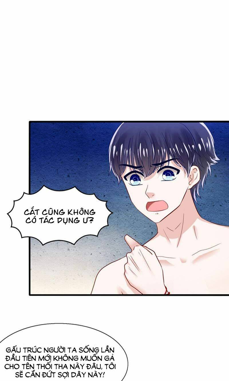 tôi bị gấu trúc nhìn trúng rồi chapter 19 6