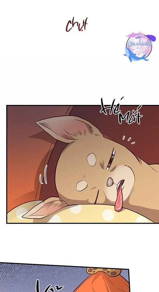 mật gấu chapter 26 68