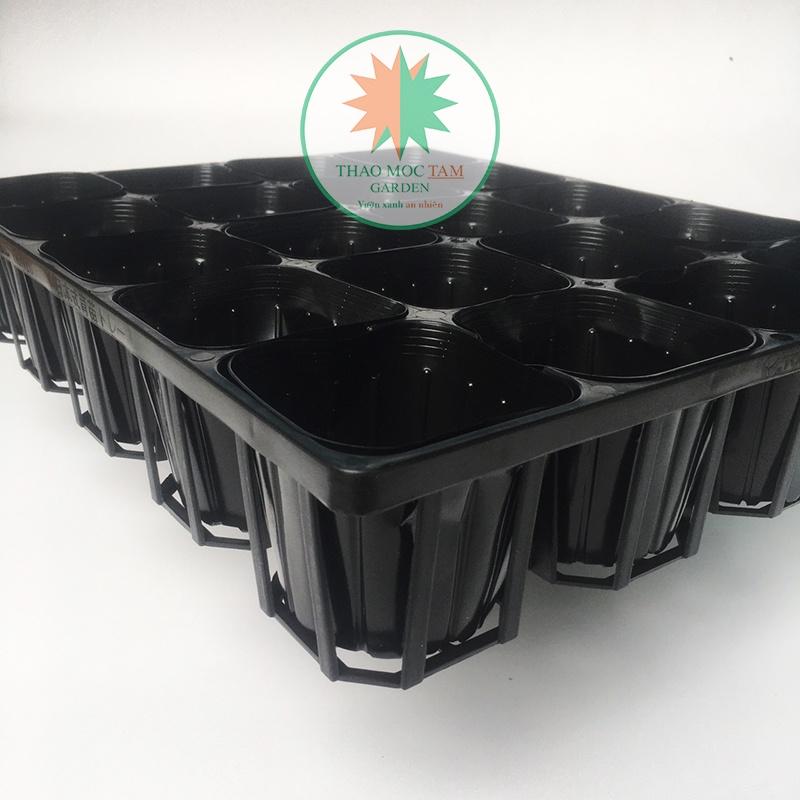 Bộ Khay 20 lỗ + 20 Chậu ươm 10.5 chuẩn Nhật - Khay ươm cây con, cây giống, trồng hoa làm vườn