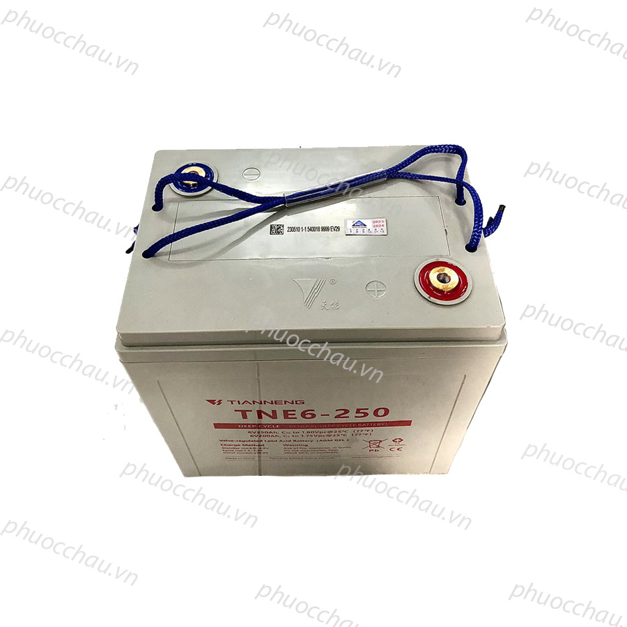 Ắc Quy Thiên Năng Tianneng TNE6-250 , ắc quy dùng cho xe điện, xe golf, xe chà sàn
