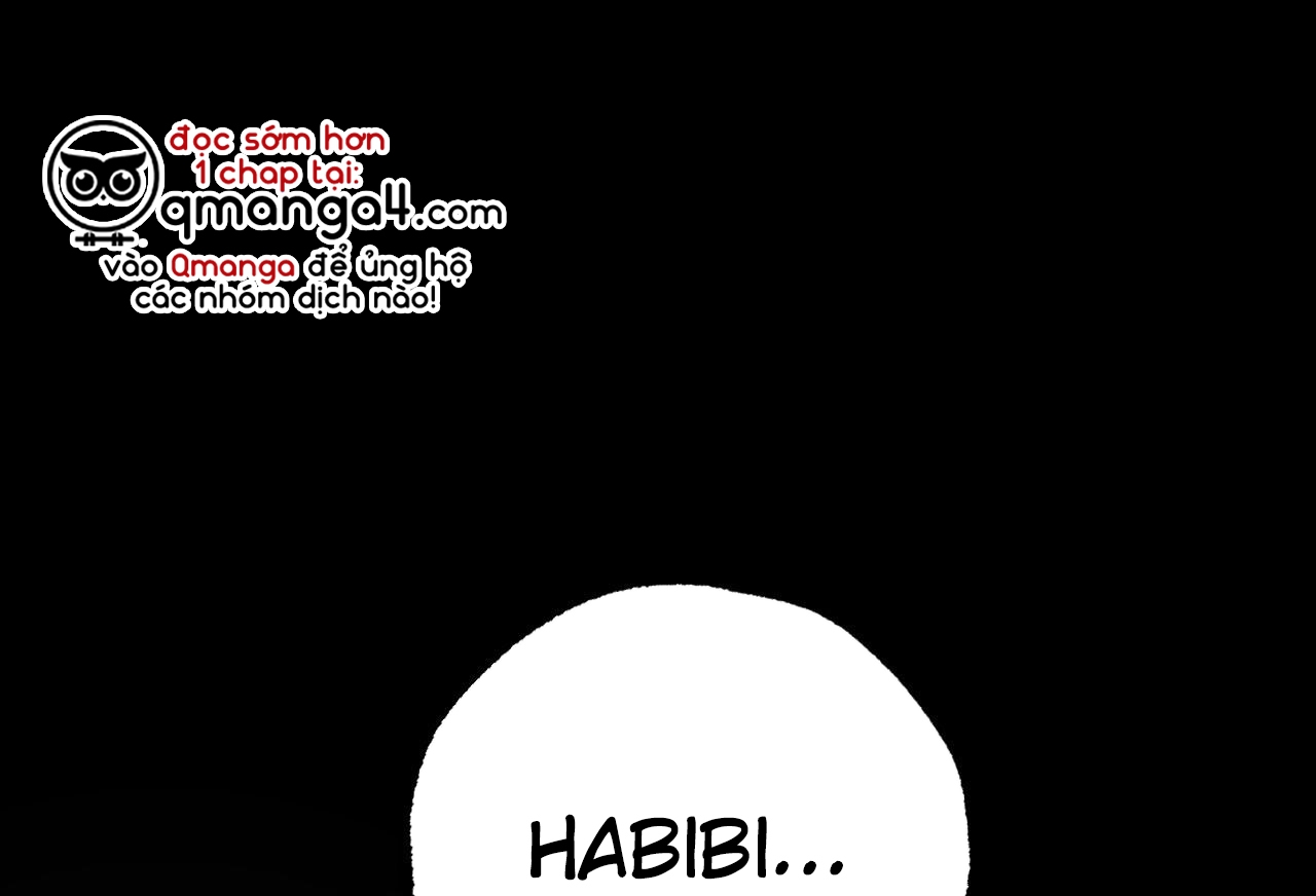 đàn thỏ của habibi chapter 57 2