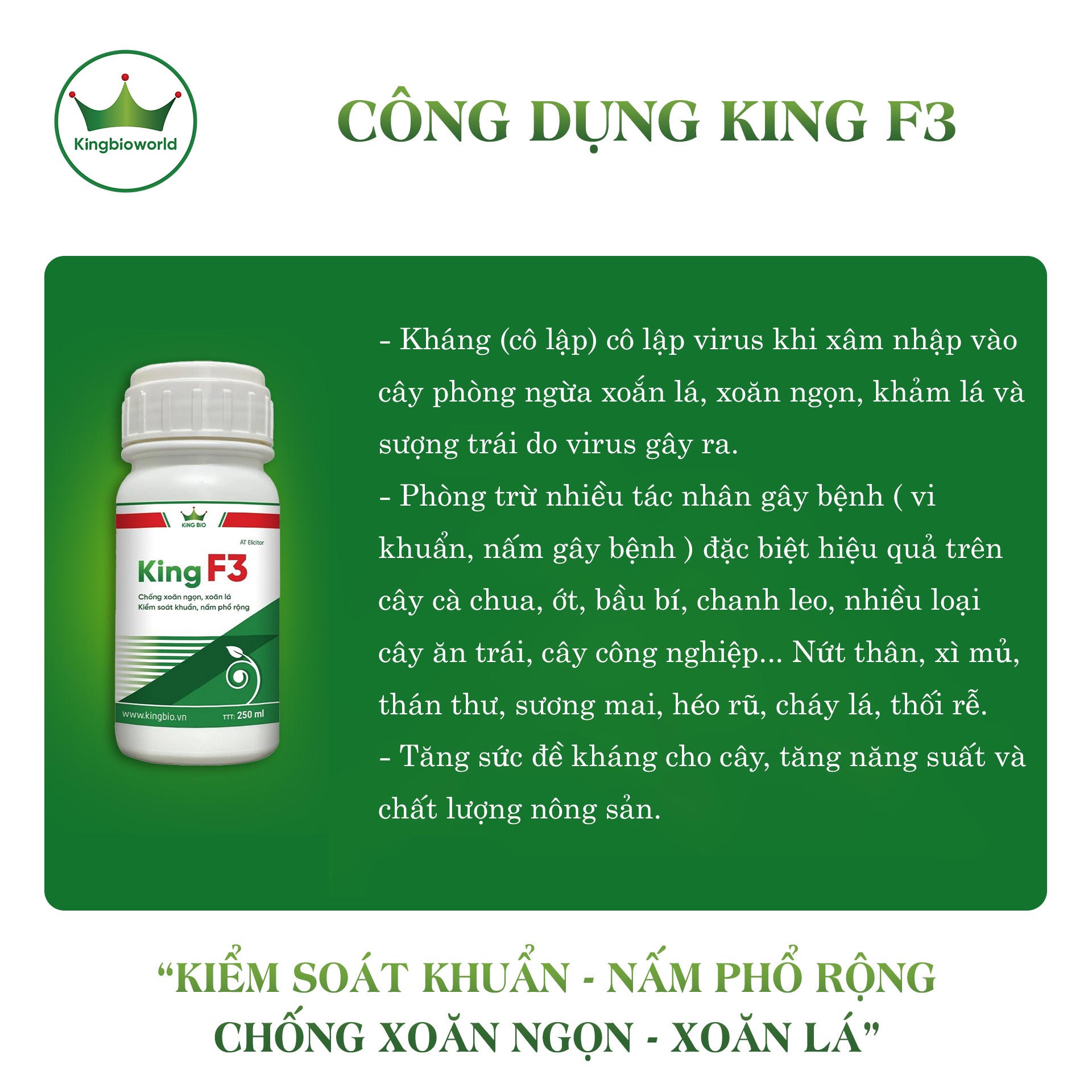 Combo chặn đứng hoàn toàn tình trạng xoăn lá, xoăn đọt, khảm lá, sượng trái trên cây trồng