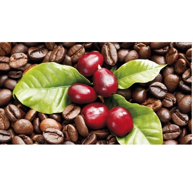 Cà Phê Rovina VIP Pha Phin - Gói 500gr Mùi Vị Đặc Trưng Cân Bằng Phù Hợp Với Khách Hàng Thích Uống Cafe Có Mùi Thơm Quyến Rũ, Chua Nhẹ. Đúng Gu Âu