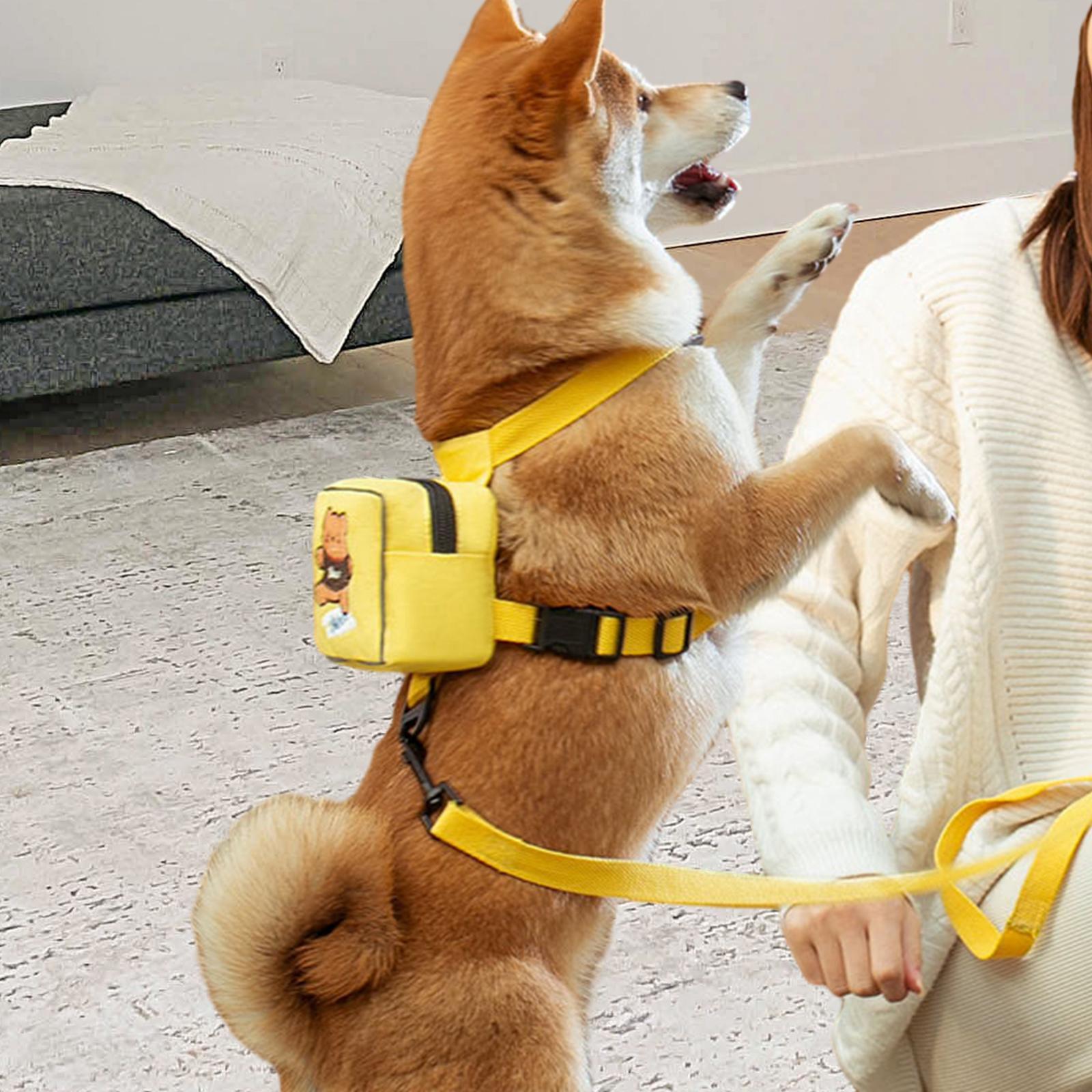 Dog Backpack Harness with Leash, Pet Harness Backpack, Adjustable for Walking Camping Hiking