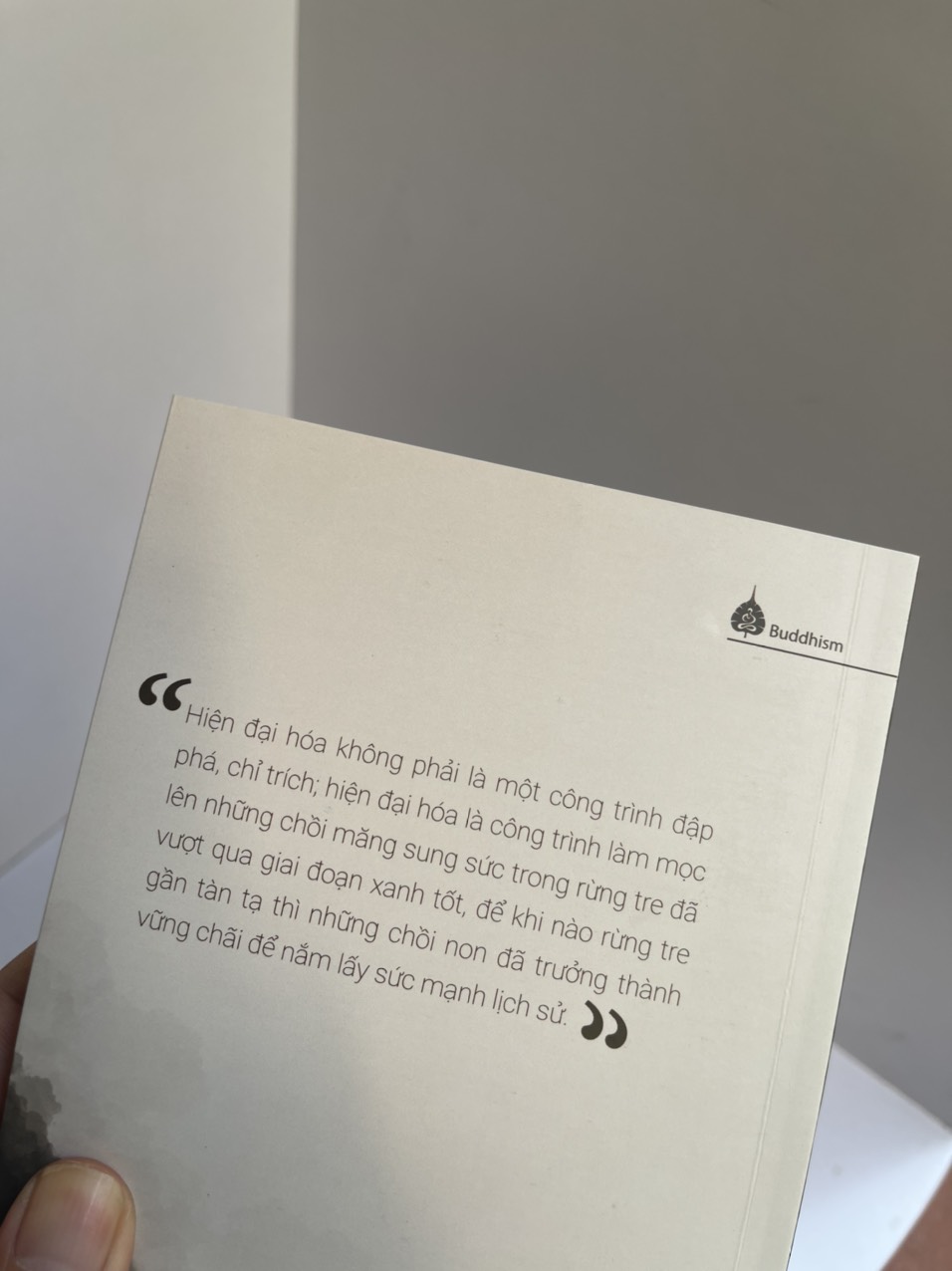 ĐẠO PHẬT HIỆN ĐẠI HÓA - Thích Nhất Hạnh - Thái Hà Books