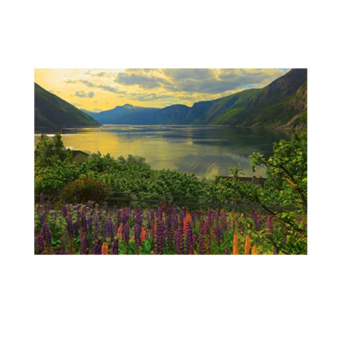 Xếp hình puzzle Fjord in Norway 1000 mảnh RAVENSBURGER 167432