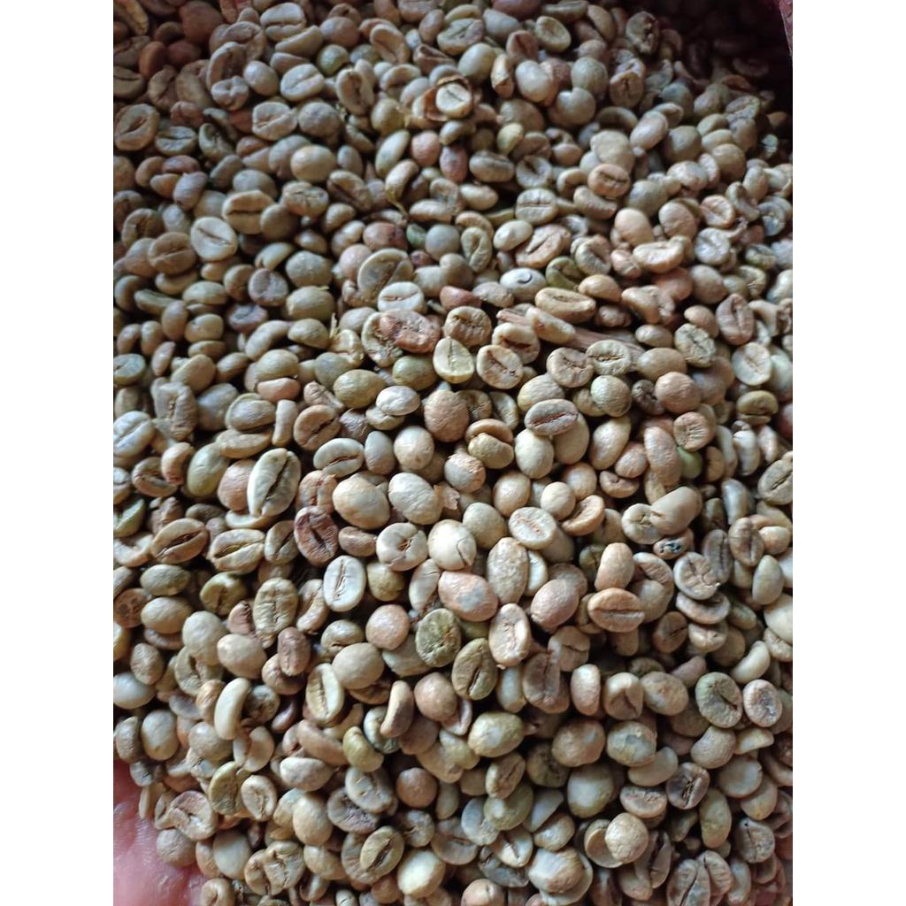 CÀ PHÊ NHÂN ROBUSTA S14 S16